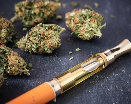 9 Must-Best Online Stores for 2024’s Hottest Cannabis, magic mushroom & Edible Deals